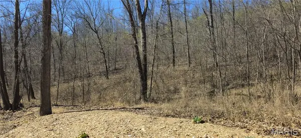0 County Road 422, Ellington, MO 63638
