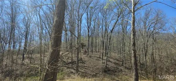 0 County Road 422, Ellington, MO 63638