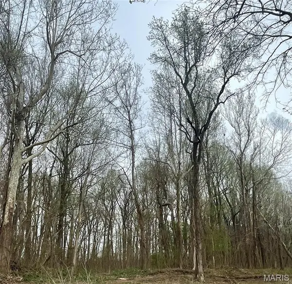 0 County Road 351, Scott City, MO 63780