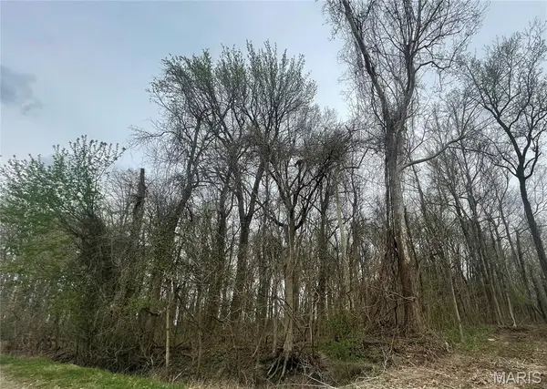 0 County Road 351, Scott City, MO 63780