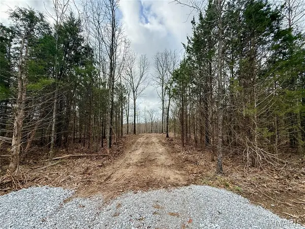 000 Highway CC Tract A, Licking, MO 65542