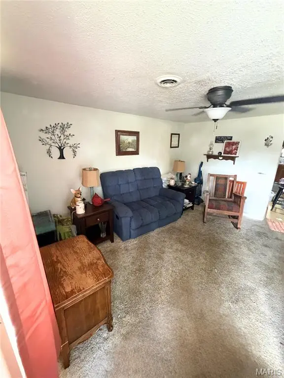 854 Delmar AVE, Festus, MO 63028