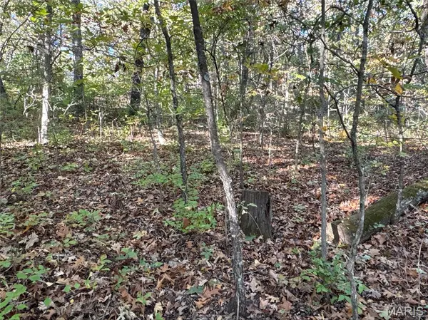 9754 Brenda CT, Bonne Terre, MO 63628