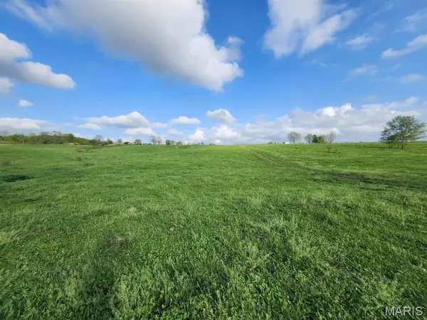 TBD M- Little Creek RD, Mountain Grove, MO 65711