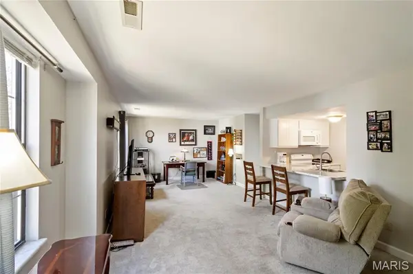 9714 Raintree Village DR #3F, Hillsboro, MO 63050