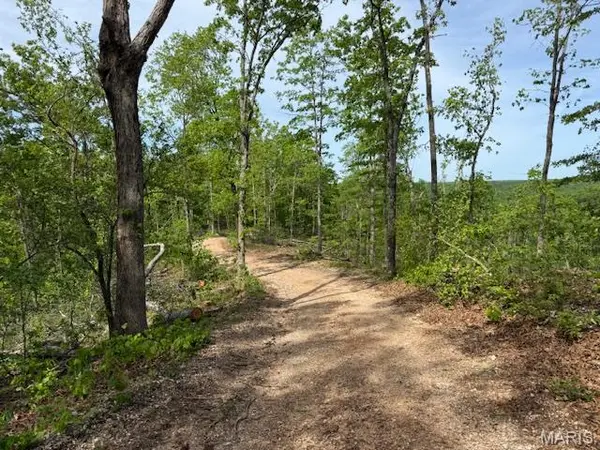 TBD County Road 305A, Eminence, MO 65466