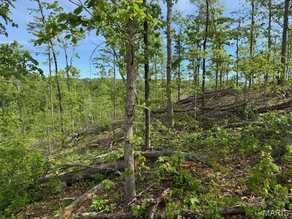 TBD County Road 305A, Eminence, MO 65466
