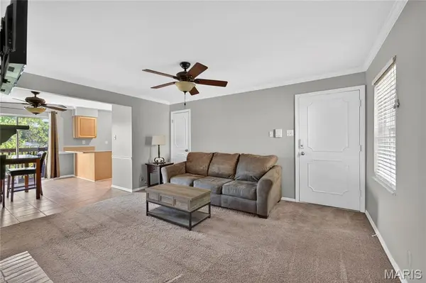 1041 N Clay AVE #E3, Kirkwood, MO 63122