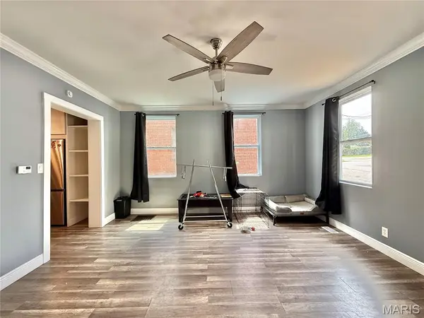 838 Wachtel AVE, St Louis, MO 63125
