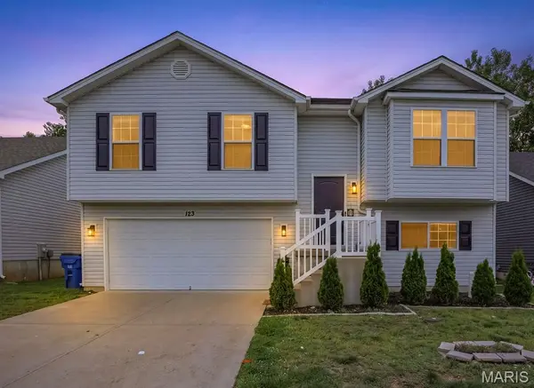 123 Doctrine DR, Festus, MO 63028