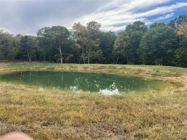 0 CR 166, Bethel, MO 63434