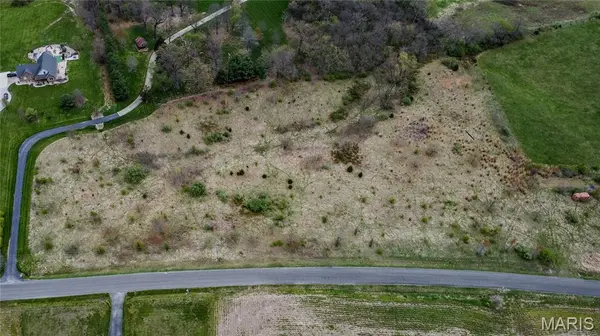0 Lageman Lane, Brighton, IL 62012