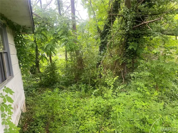 0 Bud AVE, Piedmont, MO 63957