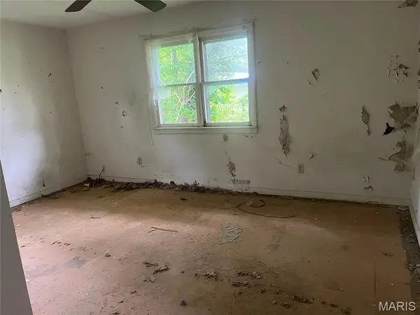 0 Bud AVE, Piedmont, MO 63957