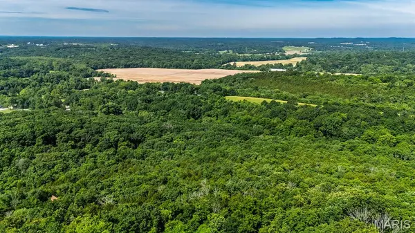 8895 Moss Hollow RD, Pevely, MO 63070