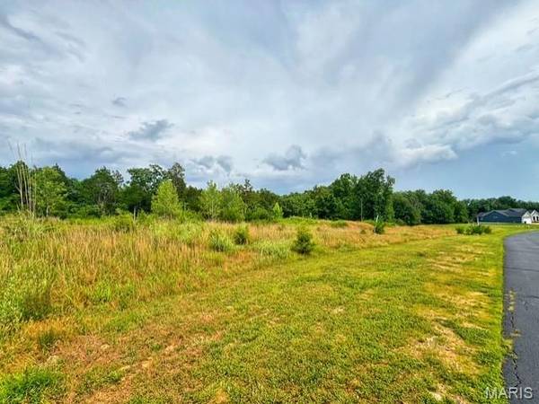 712 Red Clover DR, Cedar Hill, MO 63016