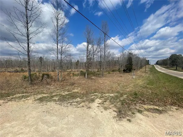0 Highway 21 & CR 229 S, Ellsinore, MO 63937