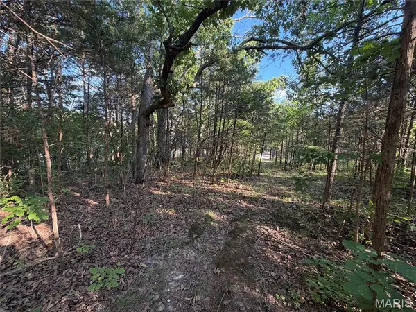 Lot 82 B N Lake DR, Hillsboro, MO 63050
