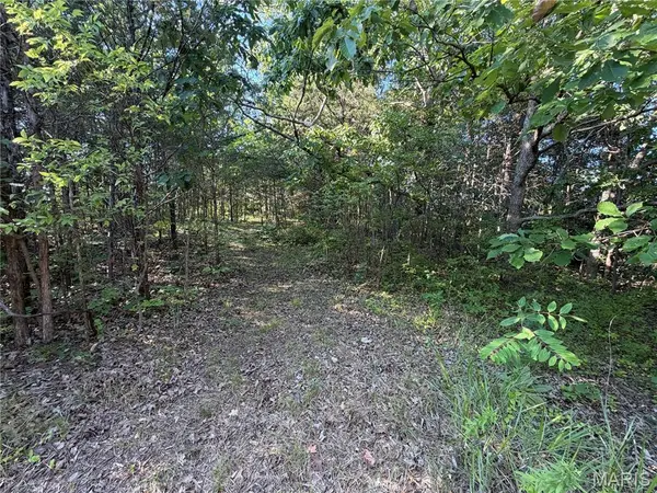Lot 82 B N Lake DR, Hillsboro, MO 63050