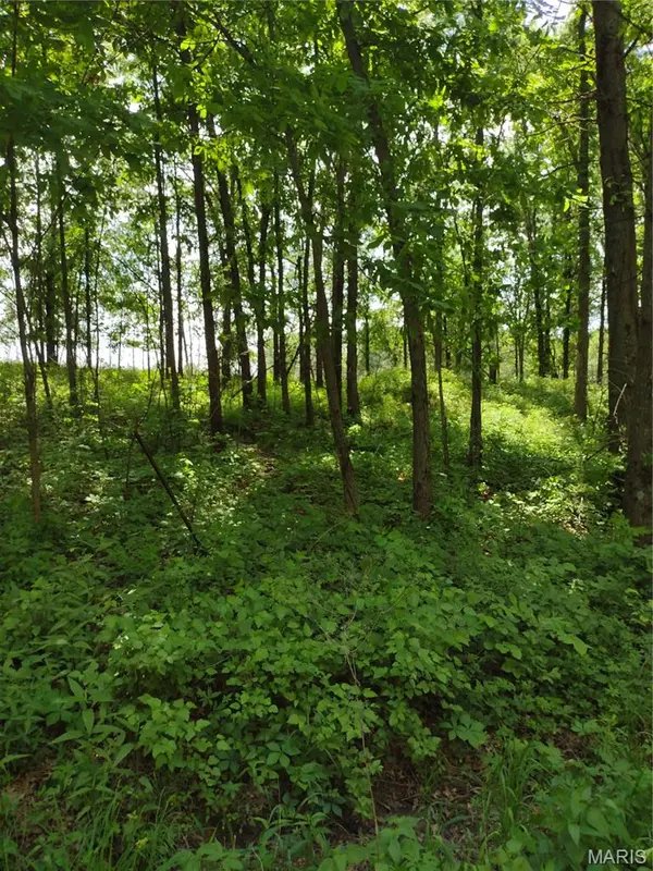 Address not disclosed, Middletown, MO 63359
