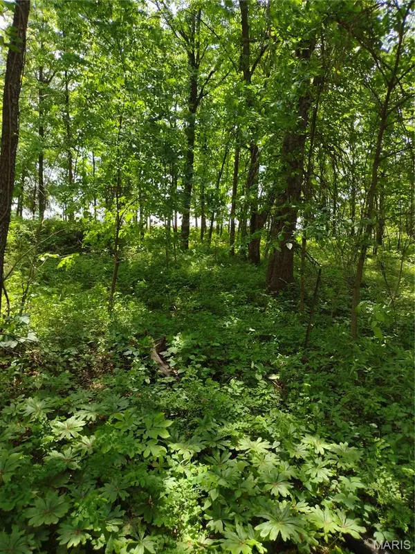 Address not disclosed, Middletown, MO 63359