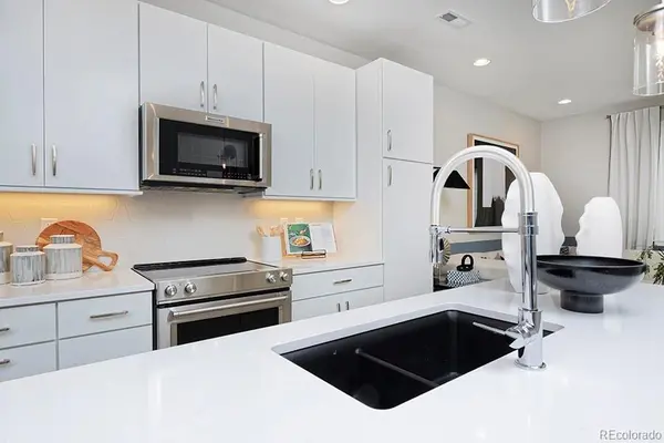 3213 W Frances Walsh PL, Denver, CO 80236