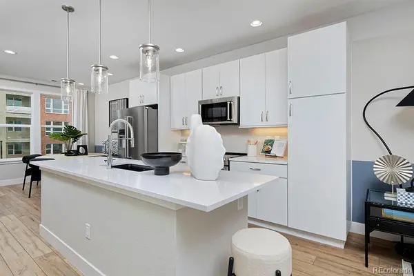 3213 W Frances Walsh PL, Denver, CO 80236