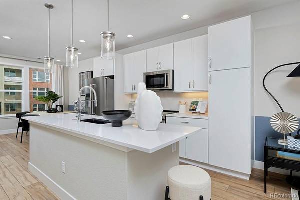 3213 W Frances Walsh PL, Denver, CO 80236