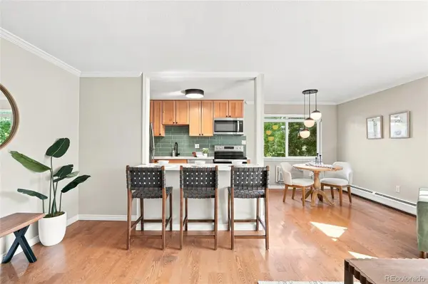 1151 N Marion ST #301, Denver, CO 80218