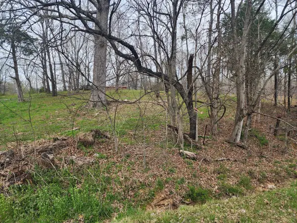 0 Gossett Rd, Ashland City, TN 37015