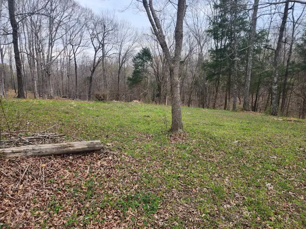 0 Gossett Rd, Ashland City, TN 37015