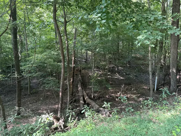 0 Randy Drive, Cadiz, KY 42211