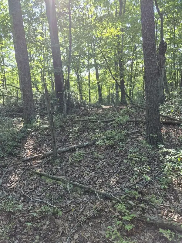 435 Ridge Wood Dr, Spencer, TN 38585