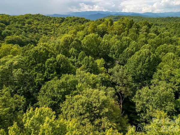TBD Usdasdi DR, Brevard, NC 28712