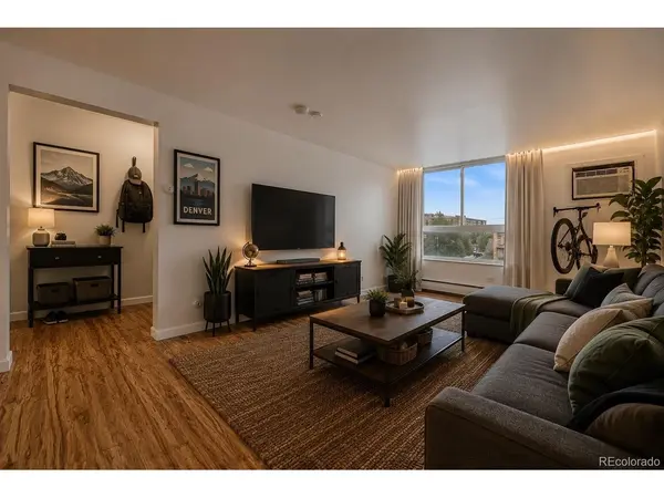 1390 N Emerson #507, Denver, CO 80218