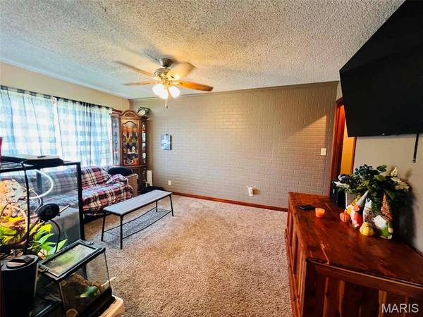 224 W Orchard ST, Vandalia, IL 62471
