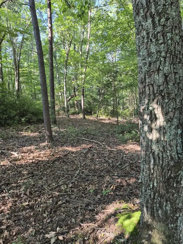436 Ridge Wood Ln, Spencer, TN 38585