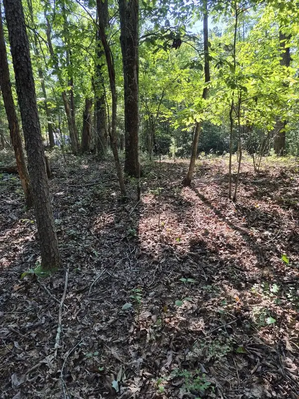 436 Ridge Wood Ln, Spencer, TN 38585