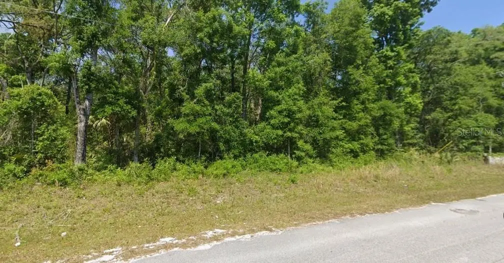 540 NE 558 ST, Old Town, FL 32680