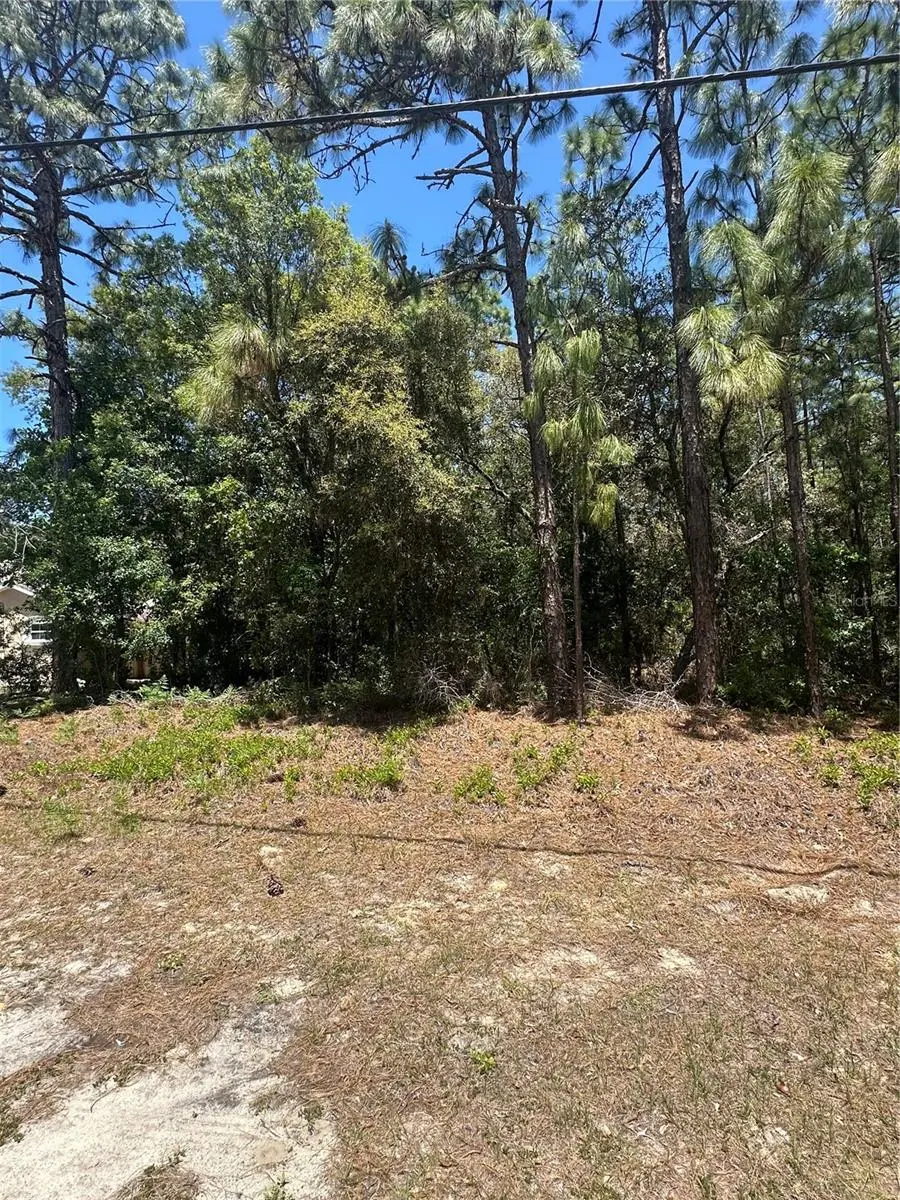 557 W ANDERSON LN, Citrus Springs, FL 34434
