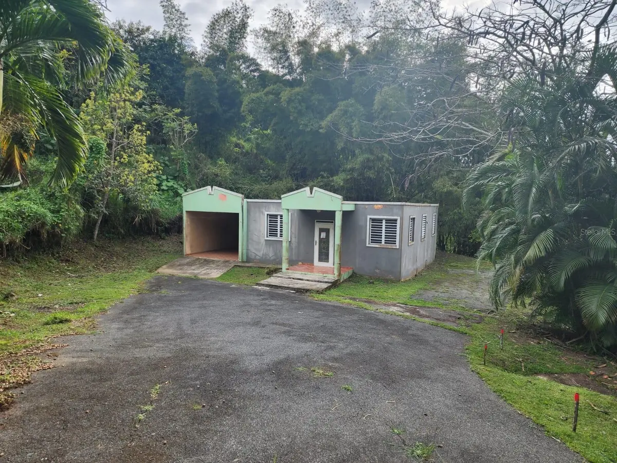 Bambu St. BO. RABANAL ##6, Cidra, PR 00739