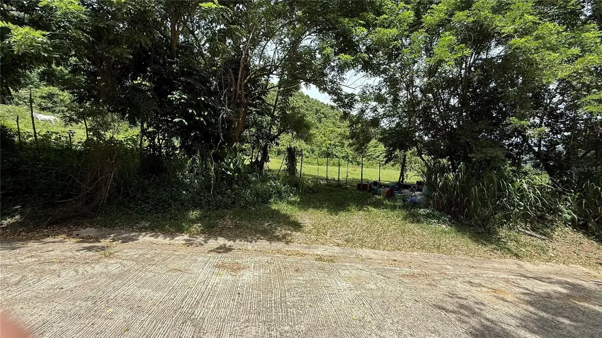 Address not disclosed, Cayey, PR 00736