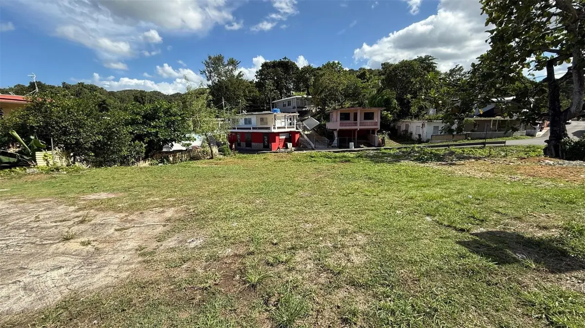 PR 2 KM 55.8 LOTE 97, Palenque, PR 00617