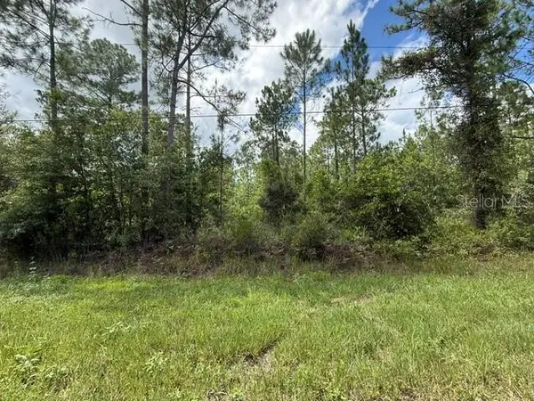 2724 LANCEWOOD ST, Bunnell, FL 32110