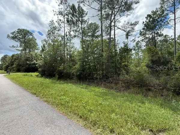 2724 LANCEWOOD ST, Bunnell, FL 32110
