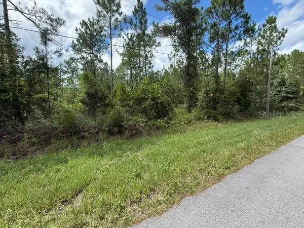 2724 LANCEWOOD ST, Bunnell, FL 32110