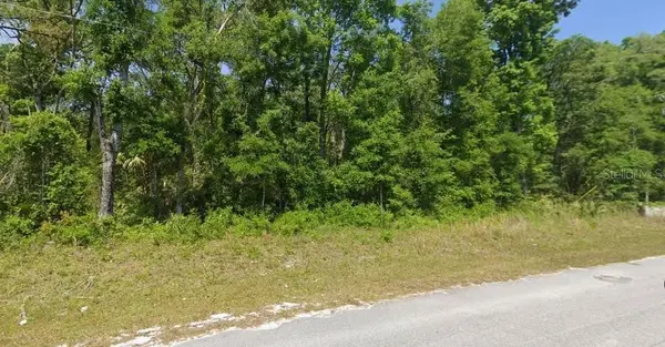 540 NE 558 ST, Old Town, FL 32680