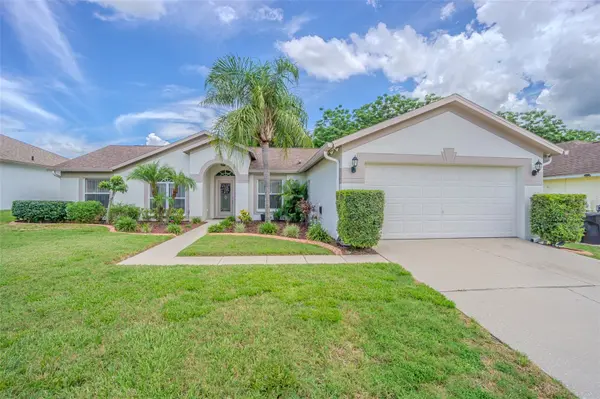 4223 AMBER RIDGE LN, Valrico, FL 33594