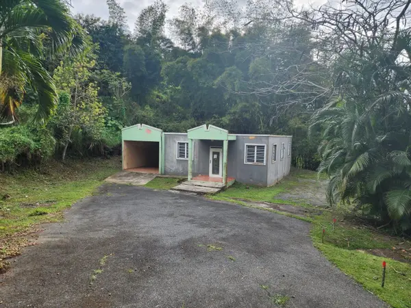 Bambu St. BO. RABANAL ##6,  Cidra,  PR 00739