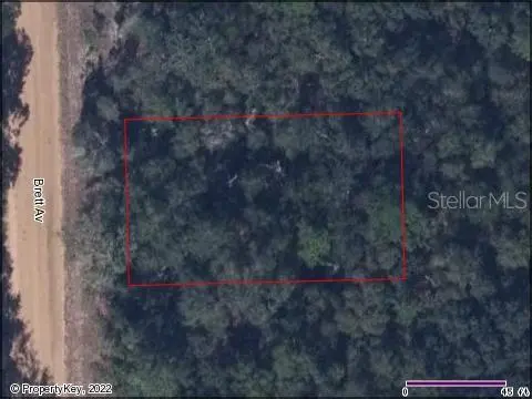 INTERLACHEN LAKES ESTATES,  Palatka,  FL 32178